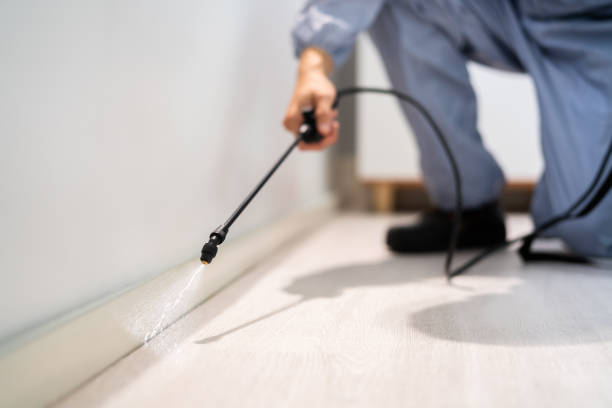 Bed Bug Pre-Treatment Preparation Assessment in Merchantville