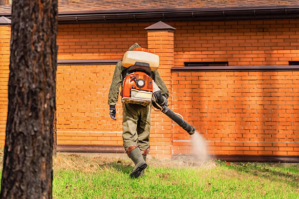 Bed Bug Clearance Verification and Documentation in Merchantville